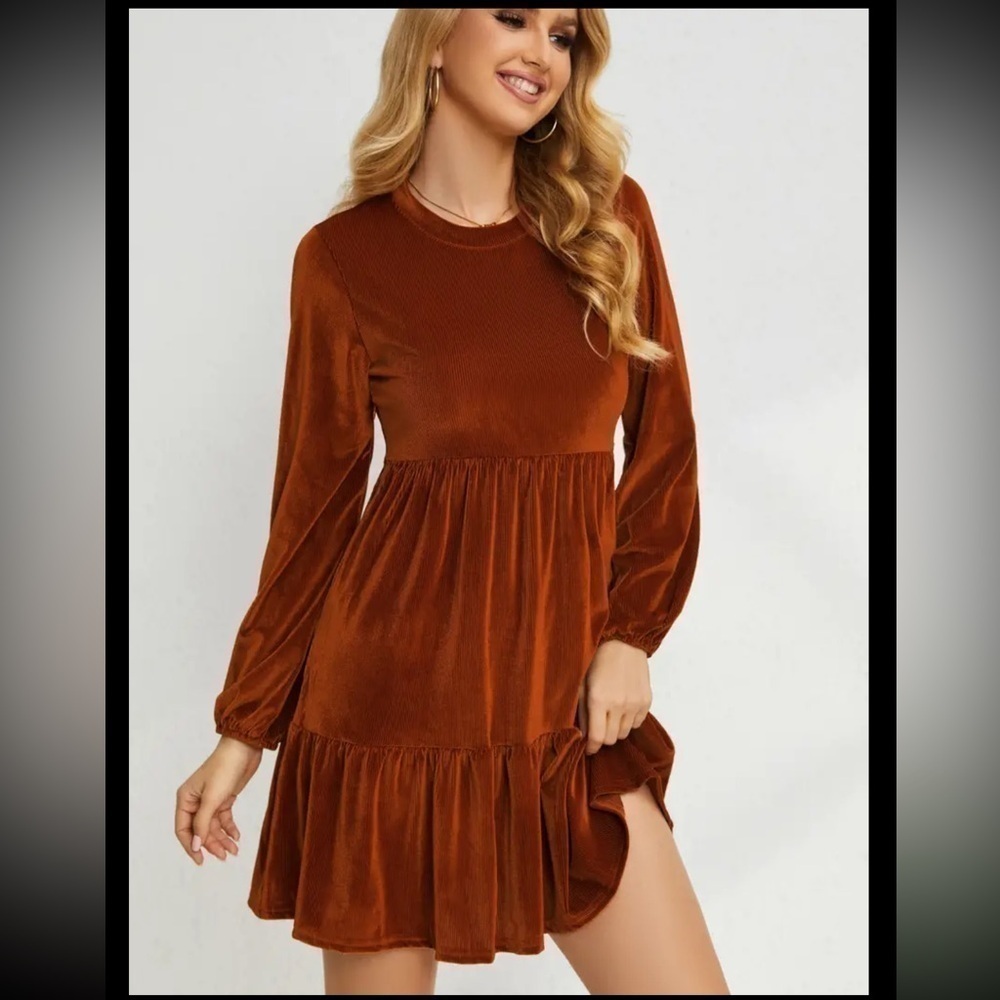 Fit and Flare Crew Neck Long Sleeve Dress - Picture 3 of 3